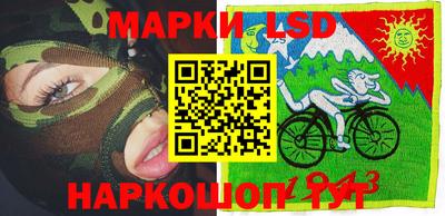 шишки Краснодар